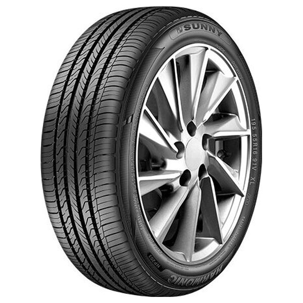 195/55R16 91V, SUNNY, NP203