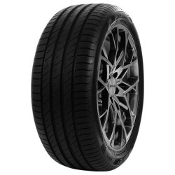 185/60R15 84H, DELINTE, DS2