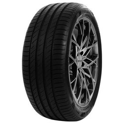 205/45R16 87W, DELINTE, DS2XL