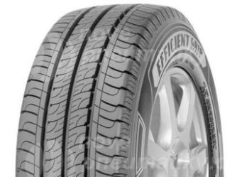 205/75R16 113/111R, Goodyear, EFFICIENT GRIP CARGO